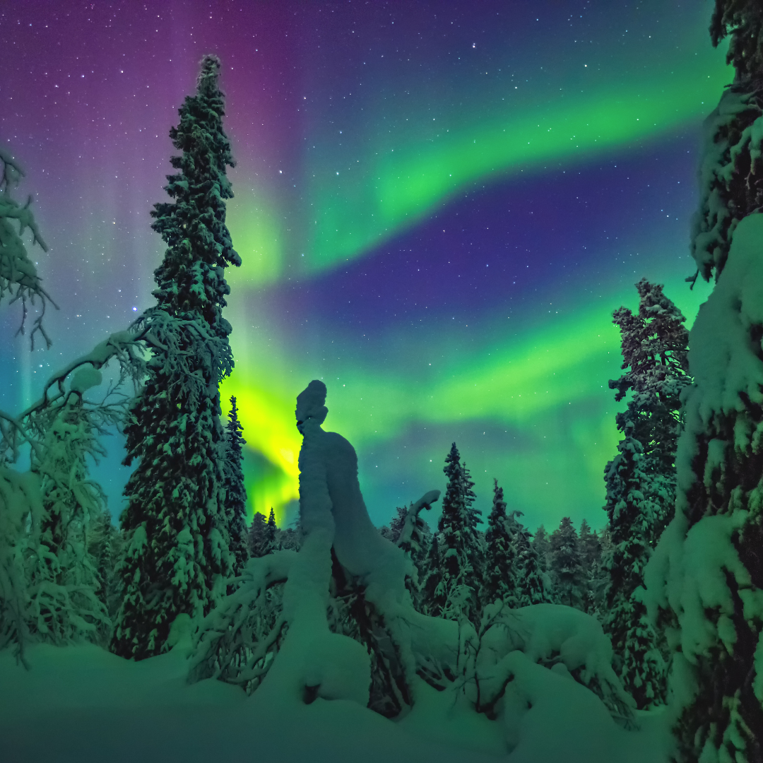 Breathtaking aurora borealis illuminating a serene winter night sky over a tranquil forest landscape.